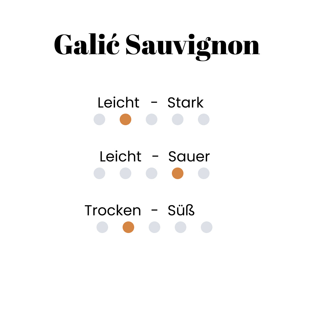 Galić Sauvignon